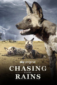Chasing the Rains
