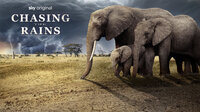 Chasing the Rains