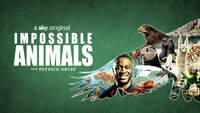 Impossible Animals
