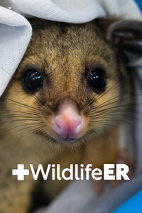 Wildlife ER