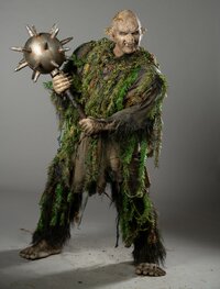 The Troll