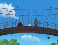The Tenchi Bridge