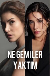 Ne Gemiler Yaktım