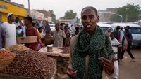 Going Home: The War in Sudan