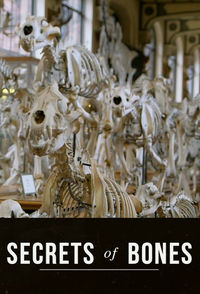 Secrets of Bones