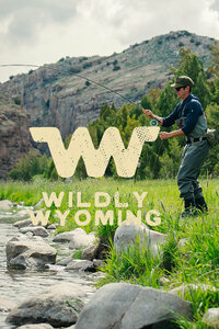Wildly Wyoming