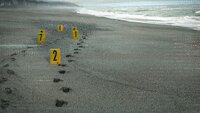 Murdered: The Baby on the Beach