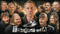 Крысиные бега