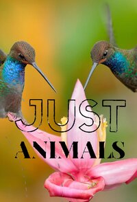 Just Animals