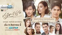 Miracle of Love