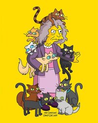 Crazy Cat Lady