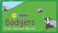 Milkshake! Badgers: Their Secret World