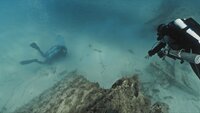 Pirates in the Caribbean