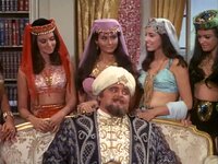 The Sultan Has Five Wives