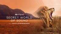 Secret World of Sound with David Attenborough