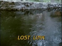Lost Link