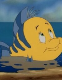 Flounder