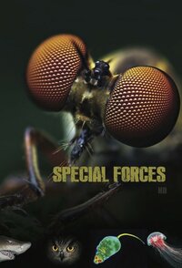 Animal Special Forces