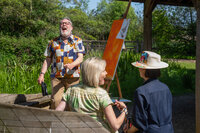 London: Peregrine Falcon