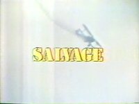 Salvage (1)