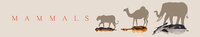 Mammals