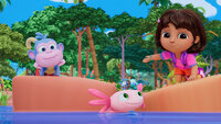 The Little Axolotl