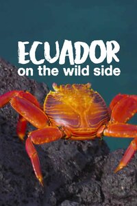 Ecuador: On the Wild Side