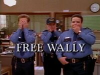 Free Wally