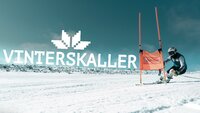 Vinterskaller