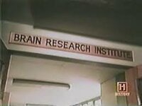 Brain Power