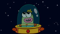 The Night Sky
