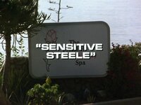 Sensitive Steele