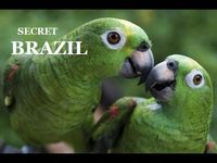 Secret Brazil