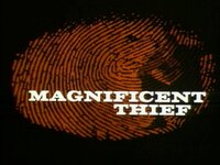 A Thief is a Thief (a.k.a. Magnificent Thief)