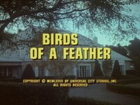Birds of a Feather
