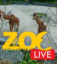 Zoo Live