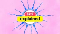 Sex, Explained