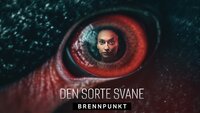Den sorte svane