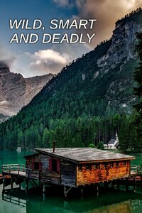 Wild, Smart and Deadly