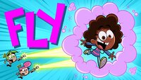 Fly