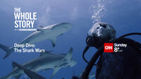 Deep Dive: The Shark Wars - Gallery | TVmaze