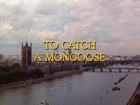 To Catch a Mongoose