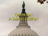 Odds on a Dead Pigeon