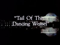 "Tail of the Dancing Weasel"