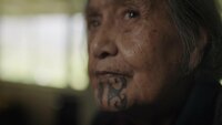 Ponga Whānau