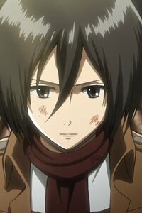 Mikasa Ackerman