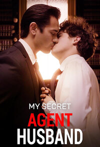 My Secret Agent Husband