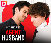 My Secret Agent Husband