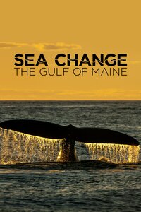 Sea Change: The Gulf of Maine, a NOVA Special Presentation