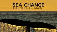 Sea Change: The Gulf of Maine, a NOVA Special Presentation
